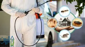 أهم النصائح والتوجيهات في مكافحة الحشرات