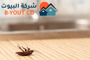 رش الحشرية في منزلك إليك النصائح التالية
