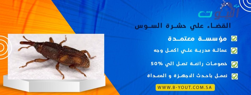 القضاء علي حشرة السوس
