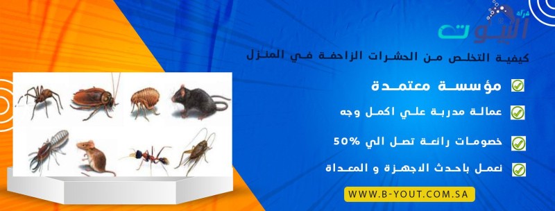 كيفية التخلص من الحشرات الزاحفة في المنزل