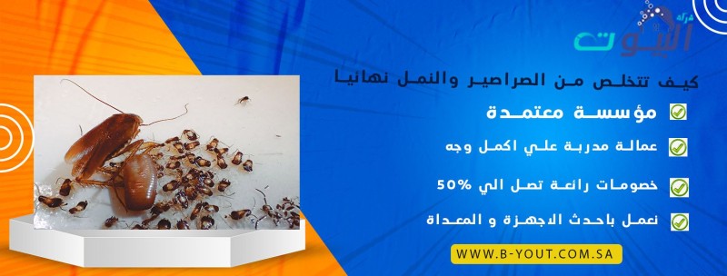 كيف تتخلص من الصراصير والنمل نهائيا