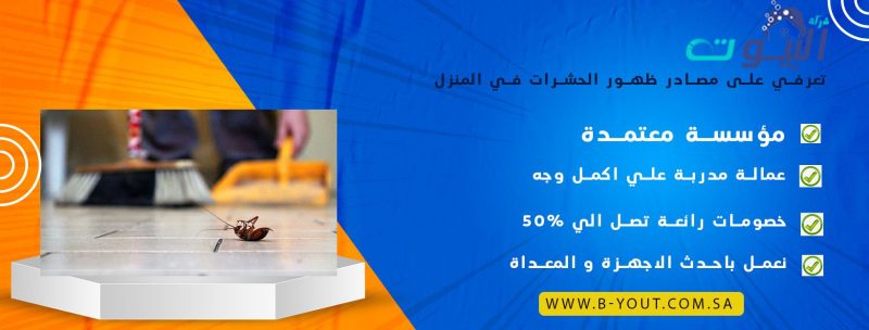 تعرفي على مصادر ظهور الحشرات في المنزل