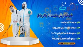 شركة رش مبيدات بالرياض