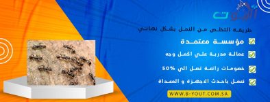 طريقة التخلص من النمل بشكل نهائي