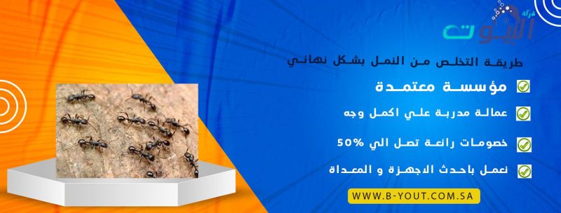طريقة التخلص من النمل بشكل نهائي