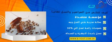 كيف تتخلص من الصراصير والنمل نهائيا