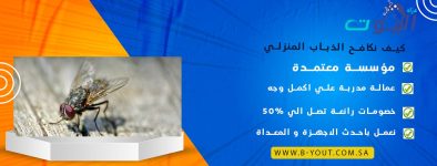 كيف نكافح الذباب المنزلي