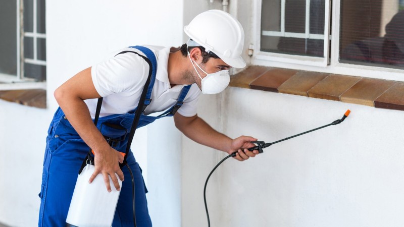 شركة مكافحة الحشرات بالدرعية