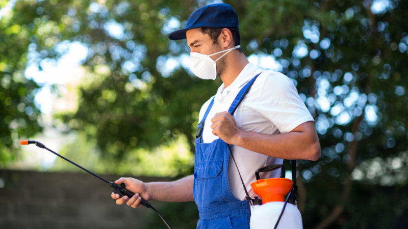 شركة مكافحة الحشرات بعرقة