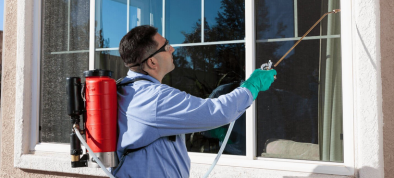 شركة مكافحة الحشرات بالخرج | 0536090236