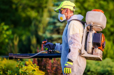 شركة مكافحة الحشرات بحريملاء | 0536090236