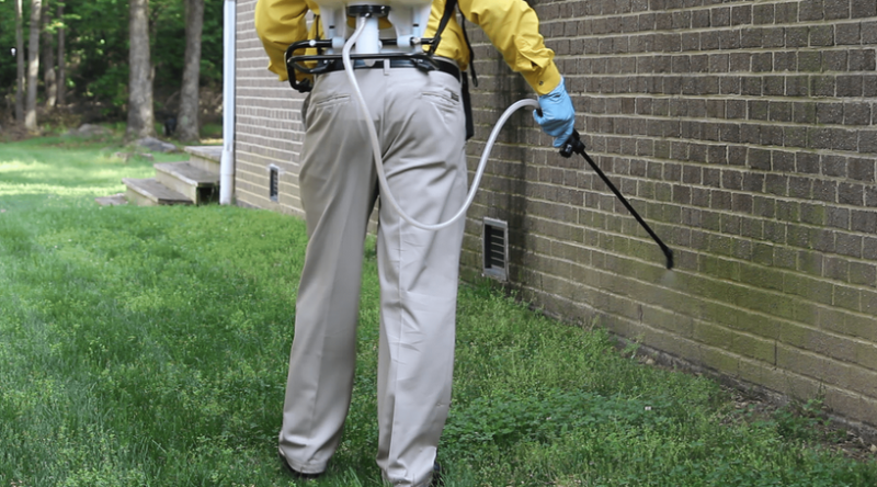 شركة رش مبيدات بحي حطين | 0536090236