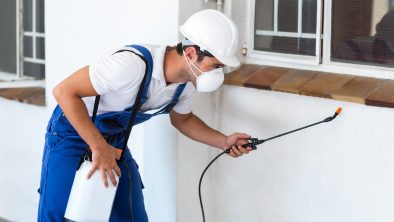 شركة مكافحة الحشرات بالدرعية