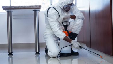 شركة مكافحة الحشرات بثادق