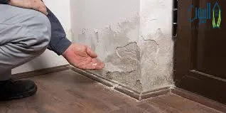 شركة فحص فلل بالرياض