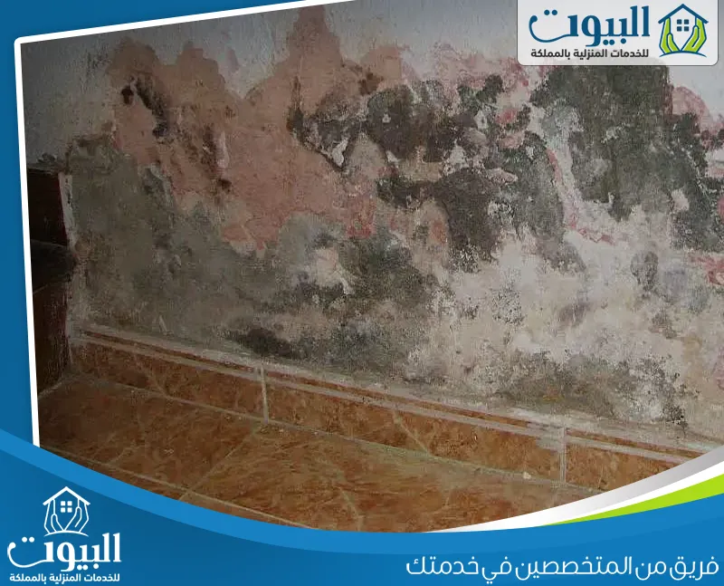 عزل البدروم من المياه الجوفية