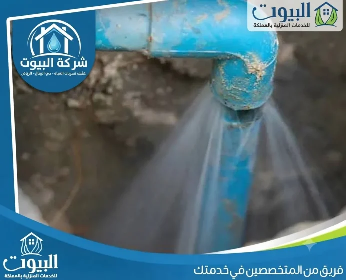 كشف تسربات المياه بحي الرمال الرياض